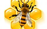 depositphotos_1239946-stock-photo-bee-and-honeycombs